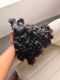 Burmese Curly Boho